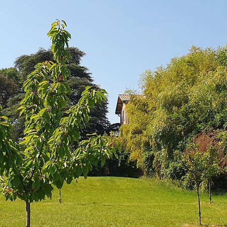 Douceurs Des Vignes Du Vivian Villa Denicé Exteriör bild