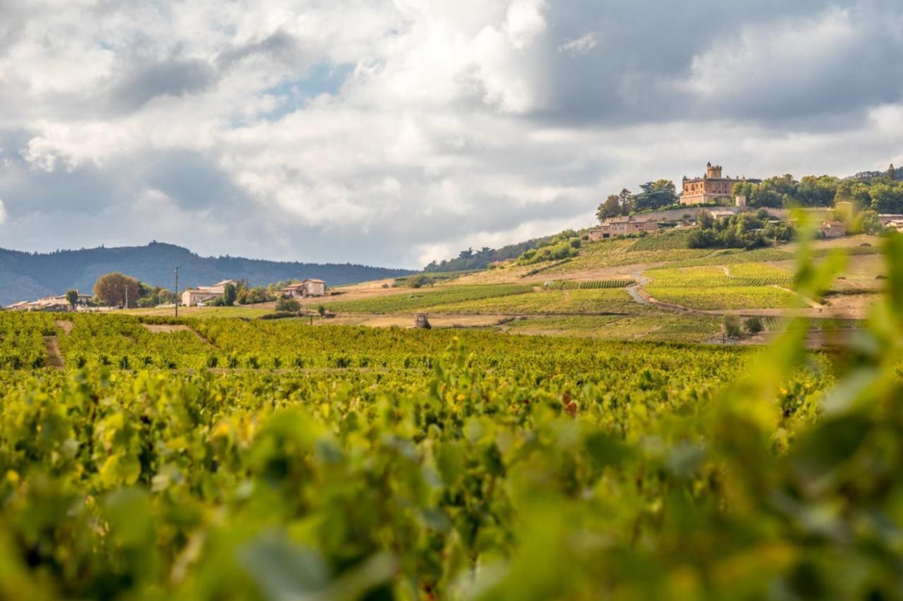 Douceurs Des Vignes Du Vivian Villa Denicé Exteriör bild
