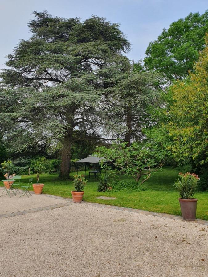 Douceurs Des Vignes Du Vivian Villa Denicé Exteriör bild
