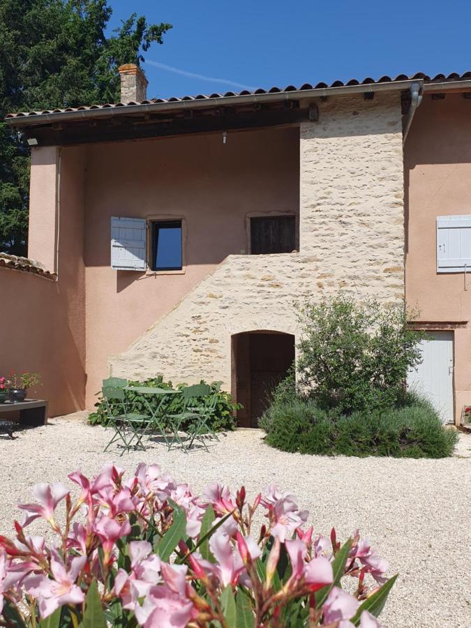 Douceurs Des Vignes Du Vivian Villa Denicé Exteriör bild