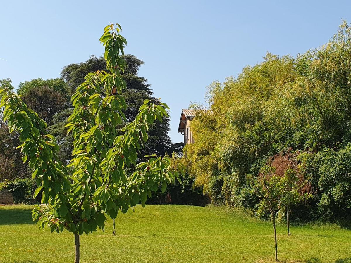 Douceurs Des Vignes Du Vivian Villa Denicé Exteriör bild